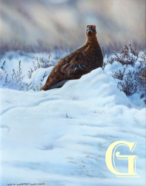 WAYNE WESTWOOD, original oil painting, NOT SO FAMOUS GROUSE